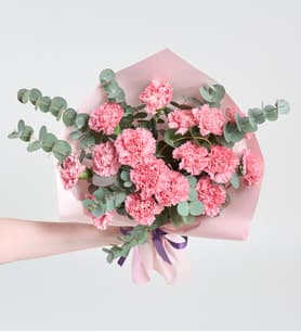 Lila-Pembe Karanfiller