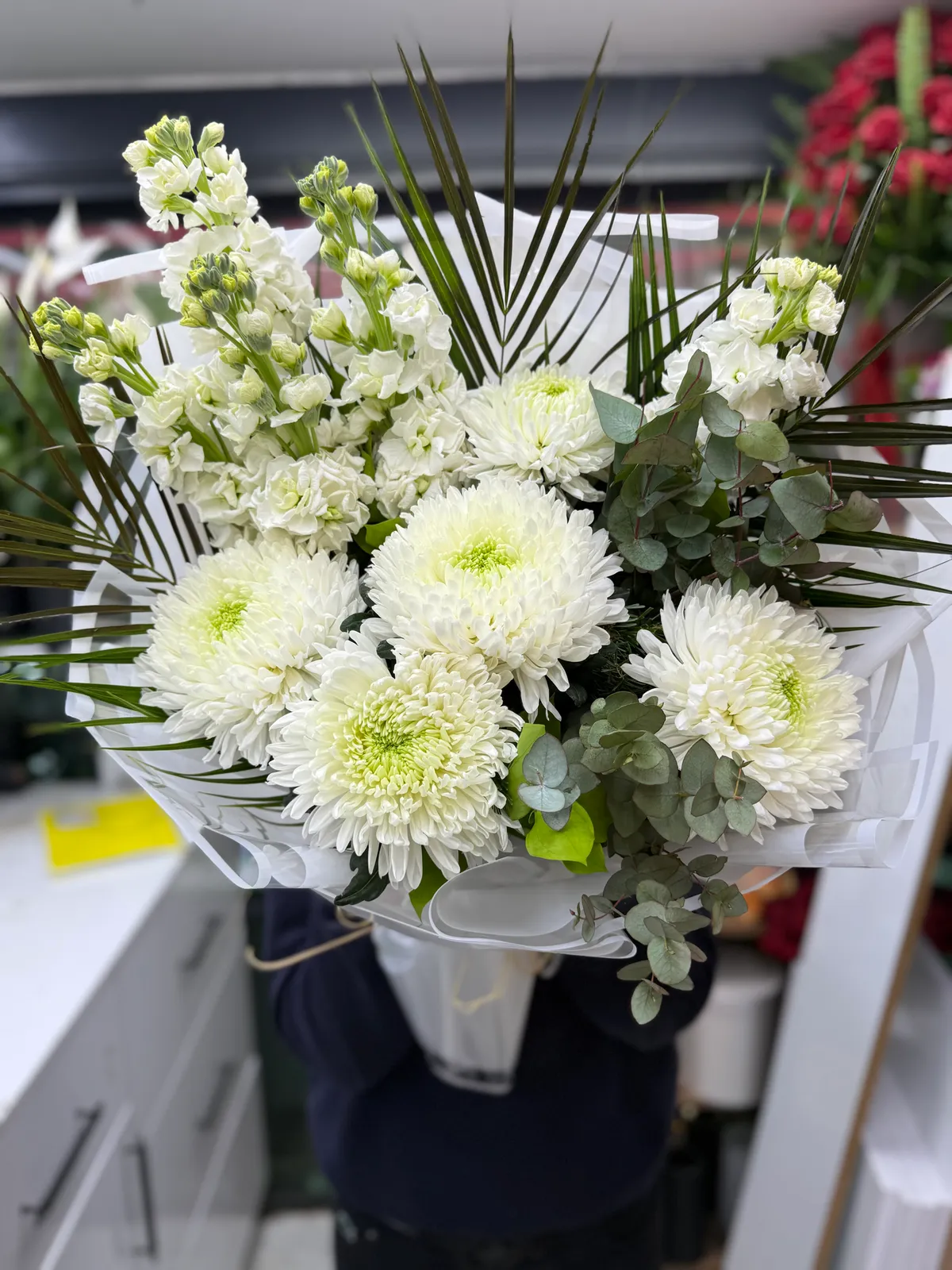 Anastasia ve Şebboy